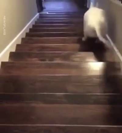 За ВДВ!