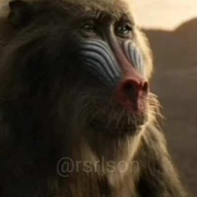 Monke learns the way of the wank