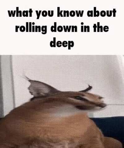 Floppa in the Ocean