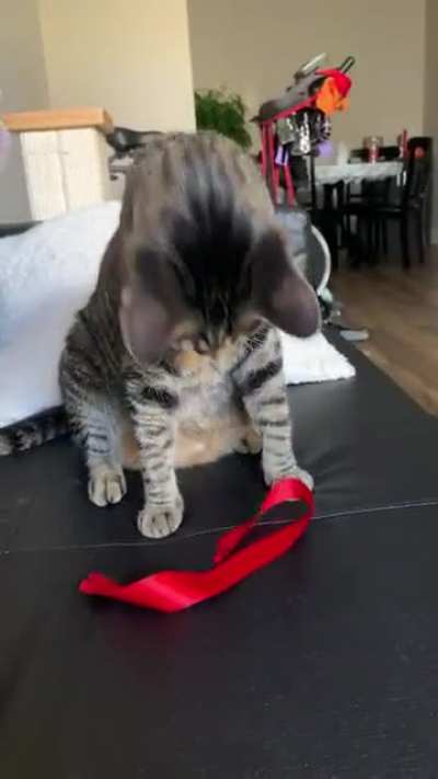 This is her favorite &ldquo;toy&rdquo; and her favorite way to play