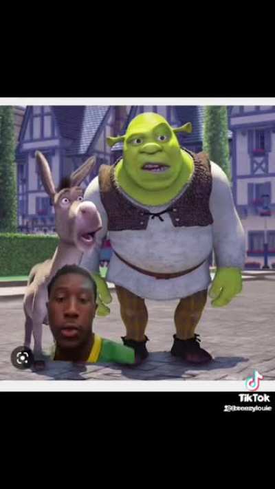 How much Shrek&rsquo;s outfit cost