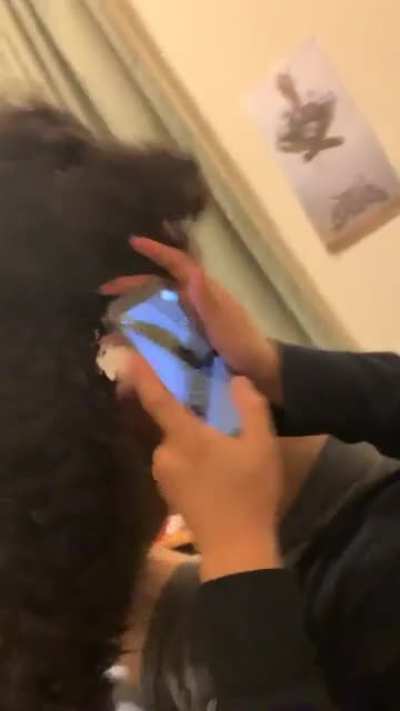 My dog stepped on my titty