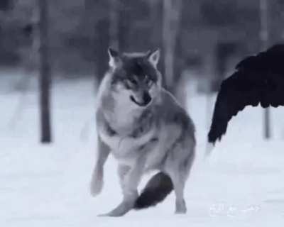 tag, you're it 