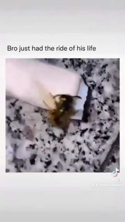 Bro just had the ride of his life