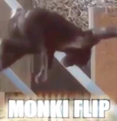 sike monke is happy