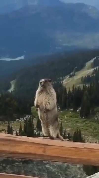 Don't ask me where I got this...