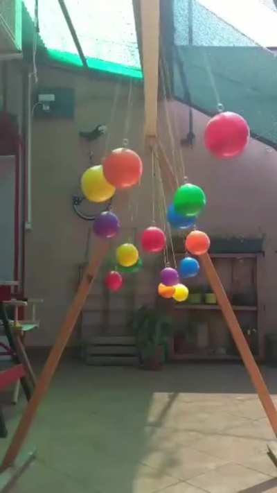 I could watch this all day