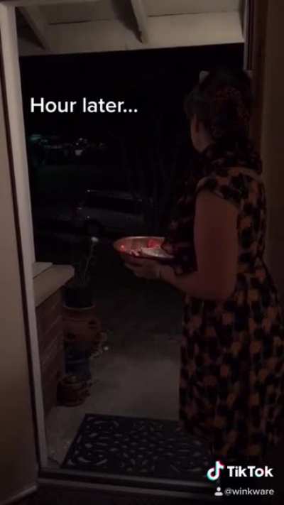 Made this last year for Halloween. They never come for candy.