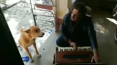 "Tu rehne de bhai mai gaa lunga"
