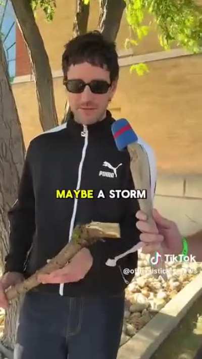 JustGuysBeingDudes