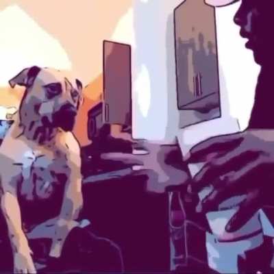 Me n the dog had to have a talk.
