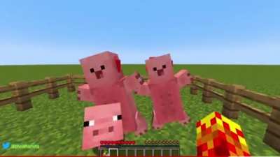 Sex Animation in Minecraft.