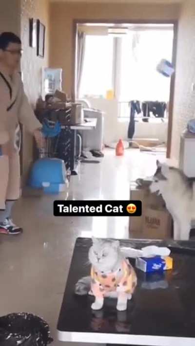 This cat must&rsquo;ve been thinking &ldquo;I didn&rsquo;t signup for this.&rdquo;
