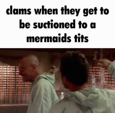 starfish😳