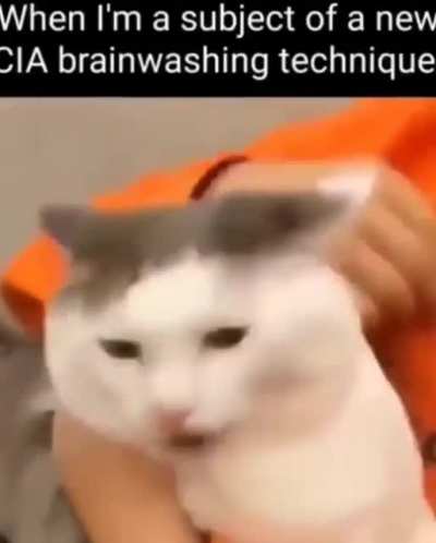 memer here