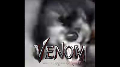 El perro venom