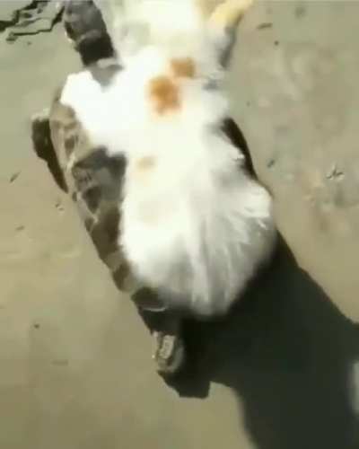 getting a ride