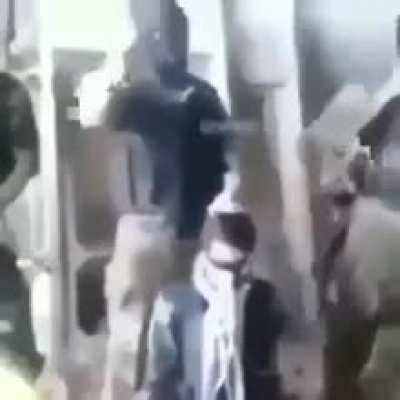 Moldy execution