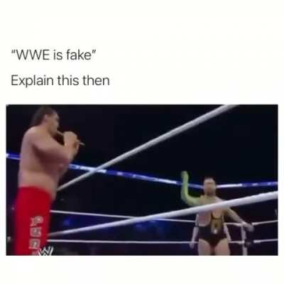 Guys?