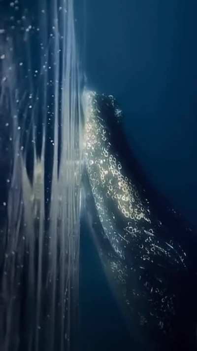 Seems like something you'd see after you die. A ghostly gentle presence.