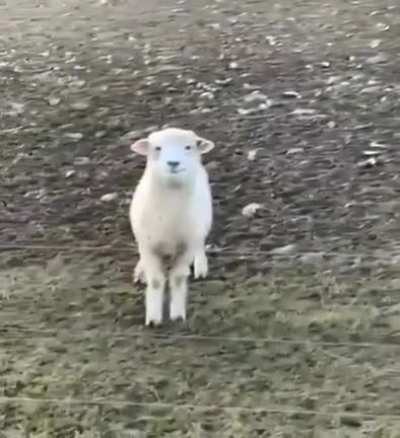 Did you take the picture? Do I look good