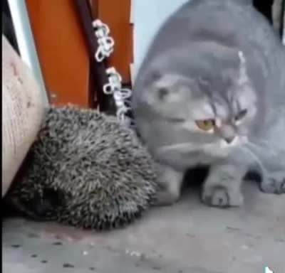 Удобно