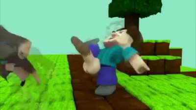 STEVE WHY