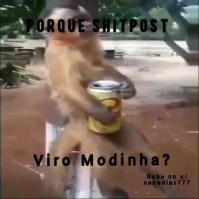 Pq Deus abandonou o shitpost?