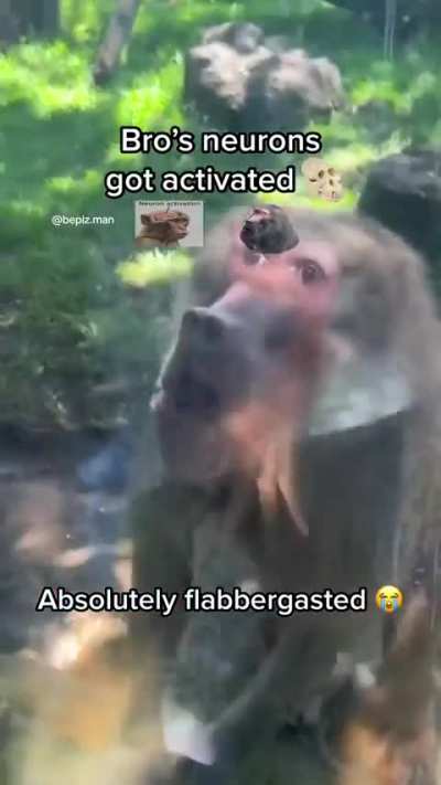 ??