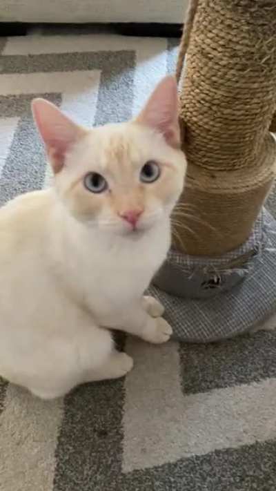 Hi Herbert! Part 2!