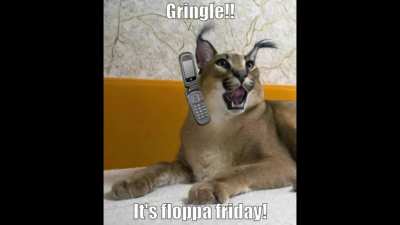 Happy Floppa Friday!