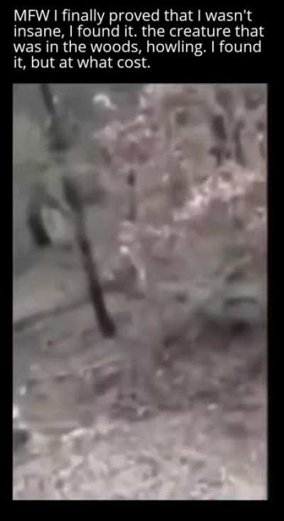 It's chasing me.