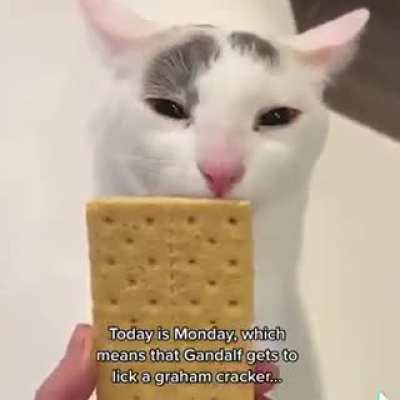 rule