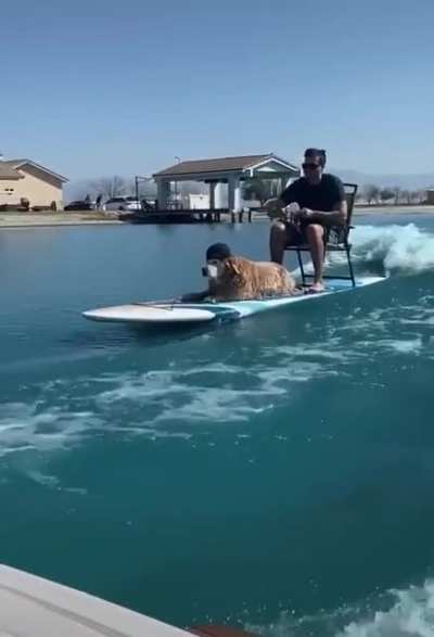 Summer Vibes