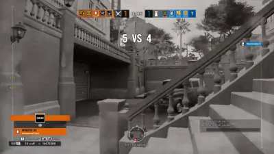 I love Goyo mains