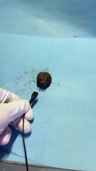 Засте<wbr>нчивы<wbr>й чювак
