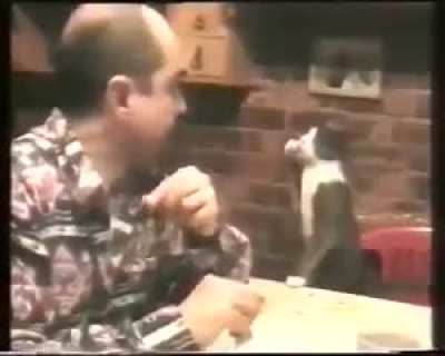When this deaf man's cat realized that meowing was useless, he learned to communicate with him through signs.