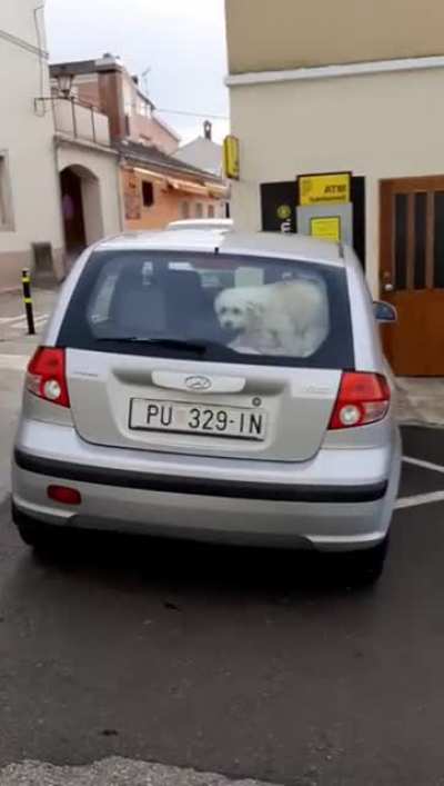 Negdje u Puli
