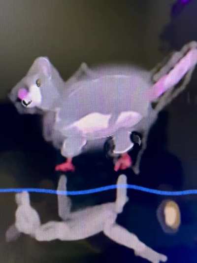 My daughter&rsquo;s animation of our rat Pooping.
