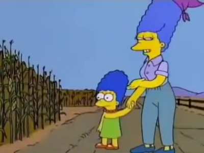 what a nice cornfield