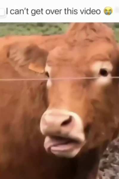 Tongue rizzzz