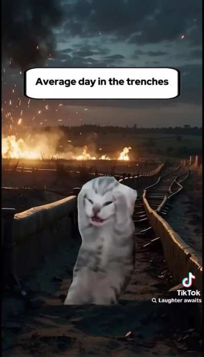 Warlike Wunks