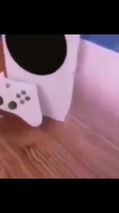 Sus 🤔