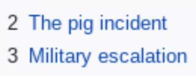 The Pig Incident