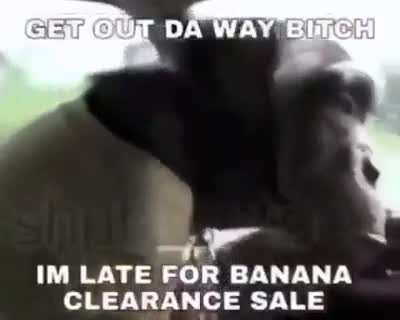 monke