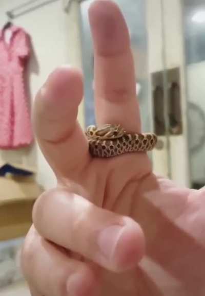 Hognose Ring