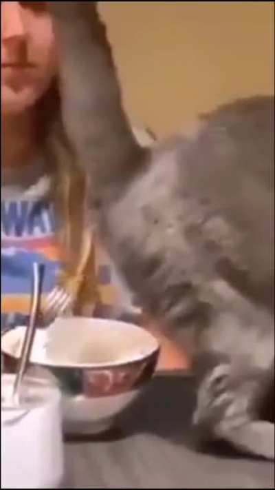 Such a tasty snack