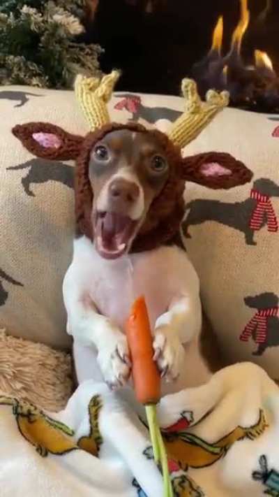 I have no explanation for this one