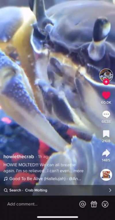 The news we&rsquo;ve all been waiting for: Howie successfully molted!