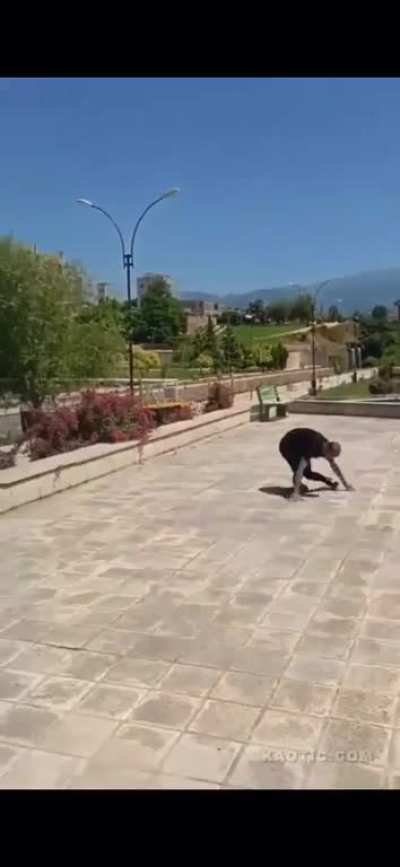Wcgw jumping off a tall surface